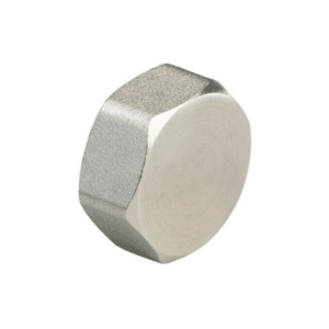 Manifold Blanking Cap